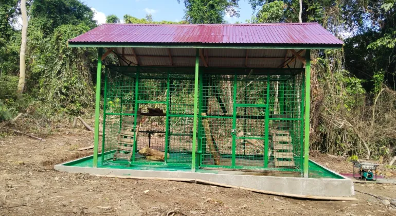 The Challenge of Constructing a Bear Enclosure